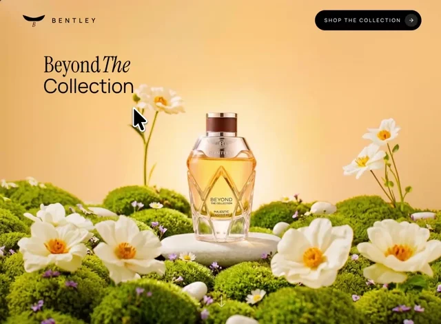 Estilo web producto premium