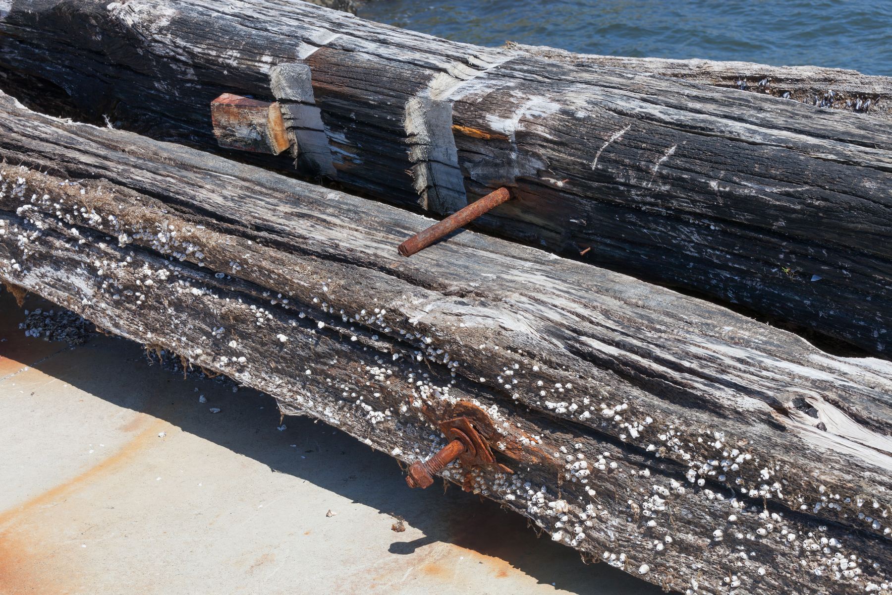 Bateas de mejillón en la costa gallega